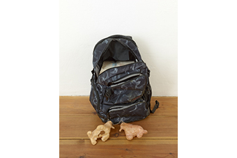 Rucksack, 2012