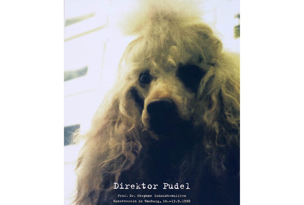 Direktor Pudel, 2006