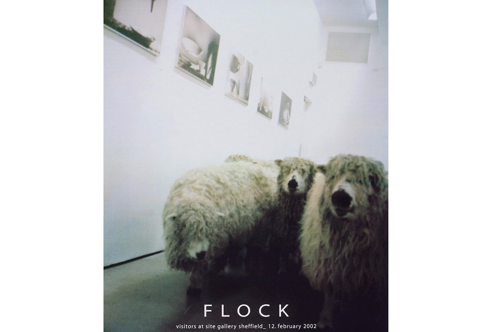 Flock, 2006