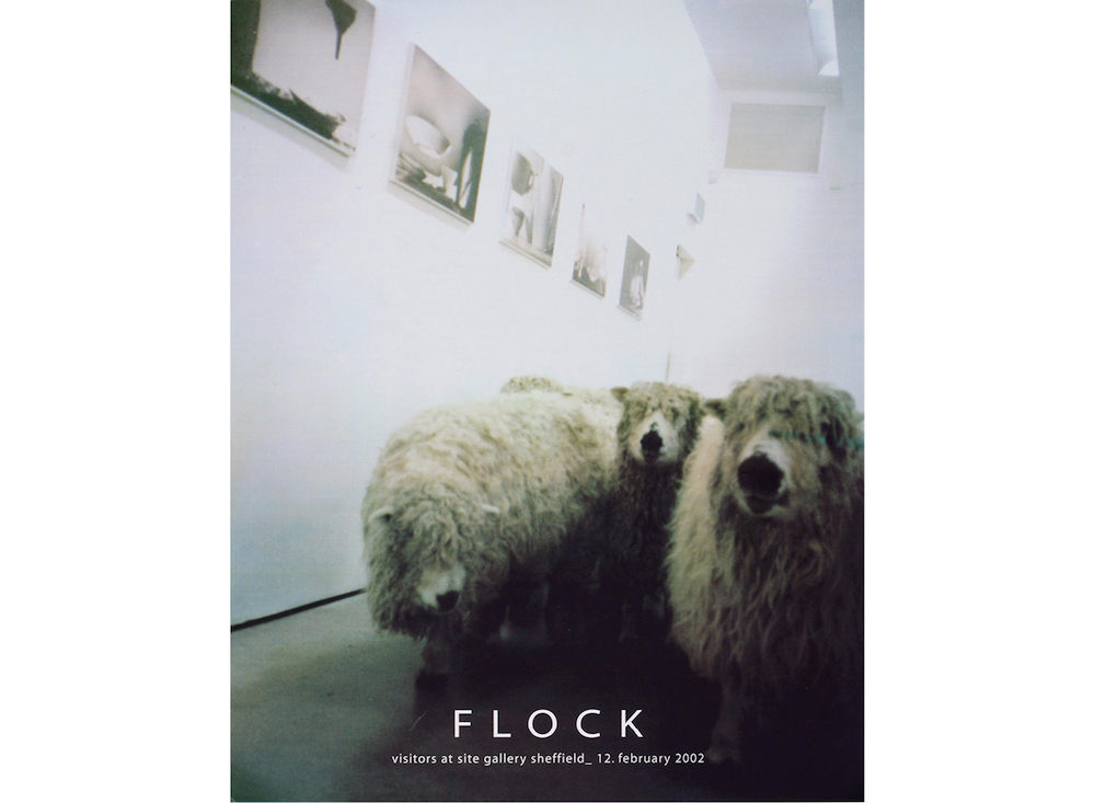 Flock, 2006