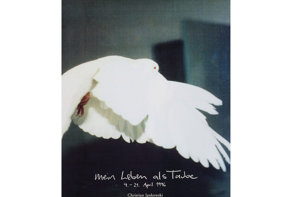 Mein Leben als Taube, 1997