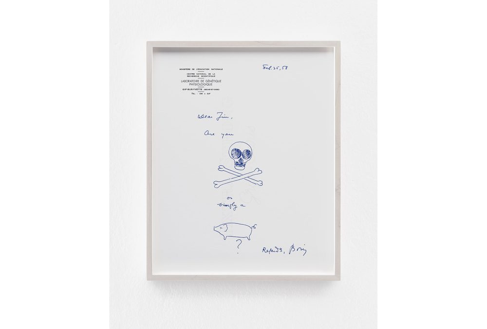 Ephrussi Letter, 2016